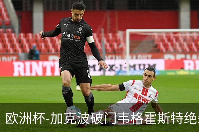 欧洲杯-加克波破门韦格霍斯特绝杀 荷兰2-1波兰